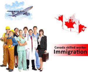 Hire International Worker From Overseas