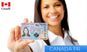 Permanent Resident Card Application Toronto